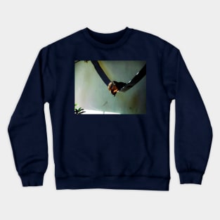 Life of a Lemur Crewneck Sweatshirt